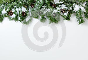 Christmas snowy tree branches and pine cones on white background