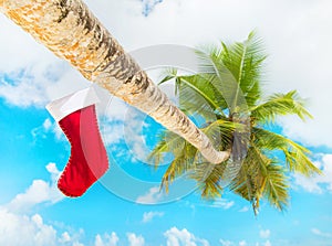 Christmas sock on palm tree at exotic tropical beach against blu sky