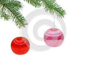 Christmas spheres on a fur-tree