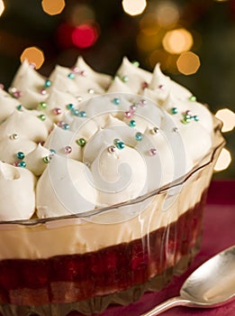 Christmas Spiced Sherry Trifle photo