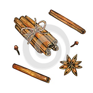 Christmas spices. Cinnamon, star anise, clove. Hand drawn watercolor illustration. Isolated on white background.