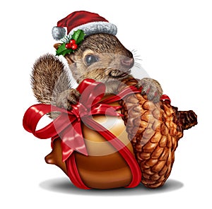Christmas Squirrel Gift