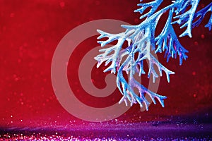 Christmas staghorn plant on red glitter background