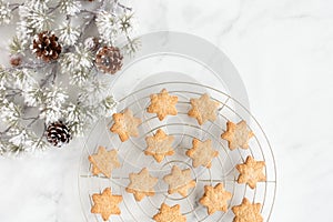 Christmas Star Cookies on Cooling Rack with Evergreen