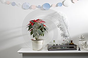 Christmas star, red poinsettia on  white fireplace with a figurine of an angel