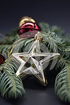 Christmas star with tree branches and black background