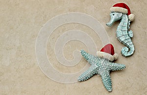 Christmas starfish and seahorse on a festive tan background with writing space