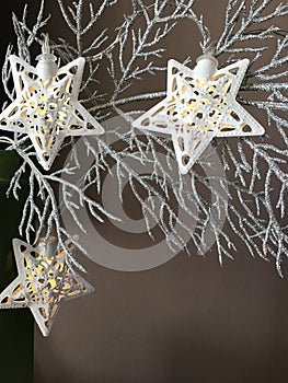 Christmas starlights on silver branch