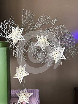 Christmas starlights on silver branch