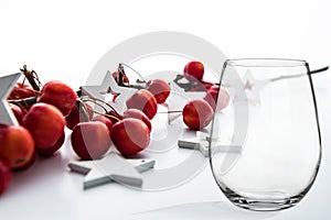 Christmas Stemless wine glass Mockup