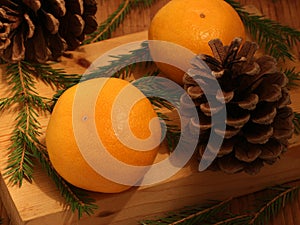 Christmas still life - mandarins, fir-trees and cones