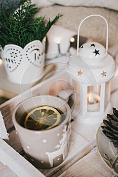 Christmas still life with tea, lights, cones and cookies