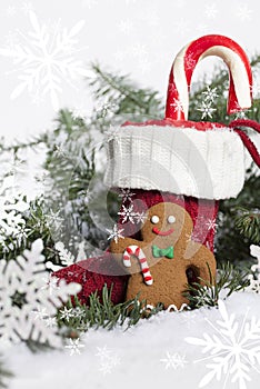 Christmas Stocking with Gingerbread Cookie