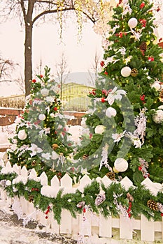 Christmas street decoration. Fur trees with balls and garlands