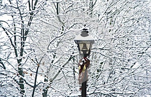 Christmas street light