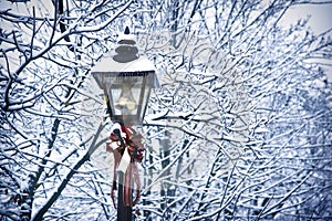 Christmas street light on tree branches