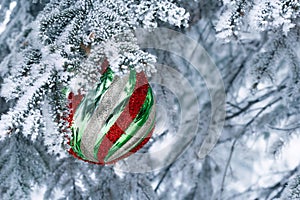 Christmas striped bauble is on the fir tree snowy branch