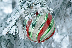 Christmas striped bauble is on the fir tree snowy branch