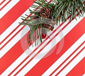 Christmas striped pattern with fir tree branch for holiday background