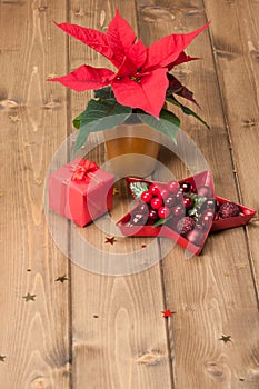 Christmas Symbol. Poinsettia Flower. Gift Box