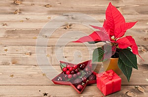 Christmas Symbol. Poinsettia Flower. Gift Box