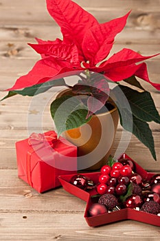 Christmas Symbol. Poinsettia Flower. Gift Box