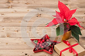 Christmas Symbol. Poinsettia Flower. Gift Box