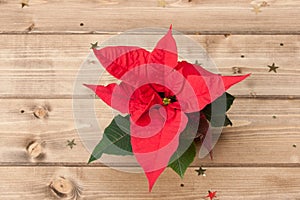 Christmas Symbol. Poinsettia Flower. Wooden