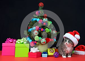 Christmas tabby kitten wearing santa hat by miniature tree