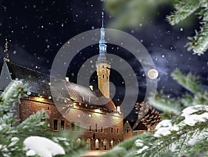 Christmas  Tallinn Old towen sguare green  tree and snowflakes on branch with cones ,Night moon on starry sky  ,medieval  city  , photo