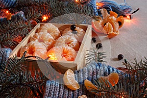 Christmas tangerines in a cosy knitted scarf with grey background