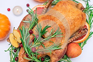 Christmas or Thanksgiving duck baked for traditional festive dinner with apples, rosemary, grapefruits on white