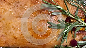 Christmas or Thanksgiving duck baked for traditional festive dinner with apples, rosemary, grapefruits on white Xmas