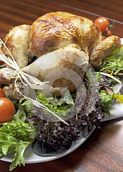 Christmas or Thanksgiving roast chicken turkey dinner - Vertical.