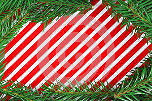 Christmas theme. Red-white striped background. Spruce branch. Copy space. Postcard. Christmas tree. Fir branches