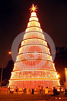 Gigantic Christmas tree at night photo