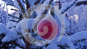 Christmas time atmosphere. Red Christmas ball hanging on a frost covered pine tree with copy space