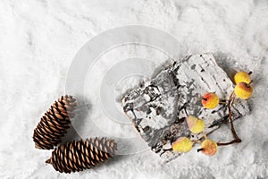 Christmas toys on a white photo