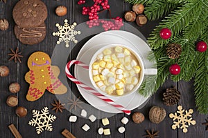 Christmas treats - gingerbread and hot chocolate with marshmallows, cinnamon, cloves on a wooden table decorated with Christmas de