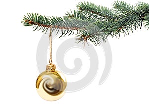 Albero di natale 