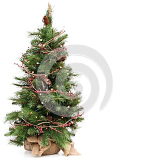 Árbol de navidad 