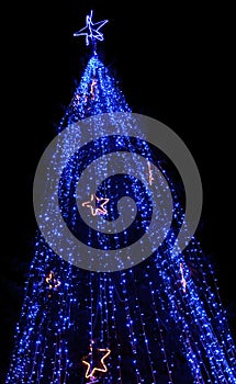 Christmas tree