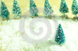 Holidays, Christmas tree, snow