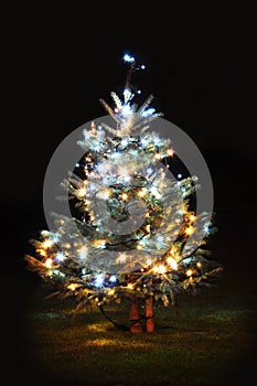 Christmas tree