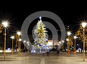 Christmas tree adorned with lights, surrounded by pillars with star shaped bulbs at