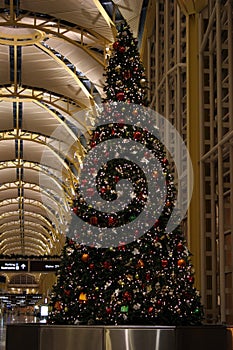 Christmas Tree at Airport