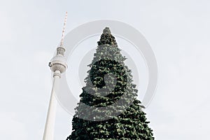 Christmas tree on Alexanderplatz in Berlin in Germany.