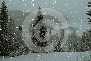 Christmas tree in the austrian alps, covered with snow