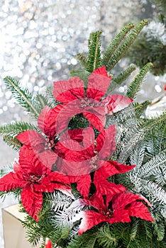 Christmas tree background and Christmas decorations with snow, blurred, sparking, glowing. Happy New Year and Xmas theme