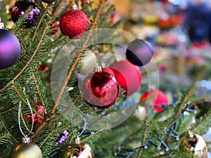 Christmas tree  balls and  Pine cones  on  Christmas tree fir branches red green blue colored decoration and white snowflakes  ,